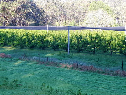 Martins Orchard - Melbourne Tourism 2