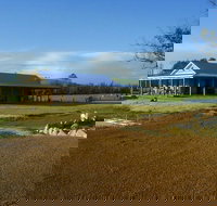 Thomson Brook Wines - Melbourne Tourism