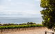 Bay Of Shoals Wines - thumb 2