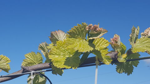 Highland Heritage Cellar Door - Melbourne Tourism 2