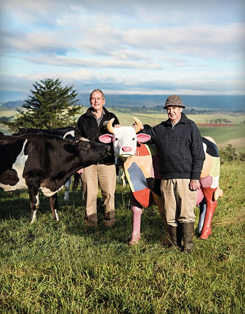 Ashgrove Farm Cheese - Melbourne Tourism 1