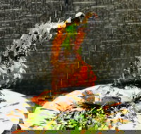 Cafe Bear and Scoobs - Melbourne Tourism