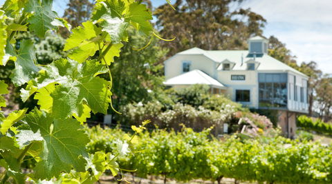 Hahndorf Hill Winery - Melbourne Tourism 2