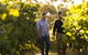 Patrick Of Coonawarra - thumb 1