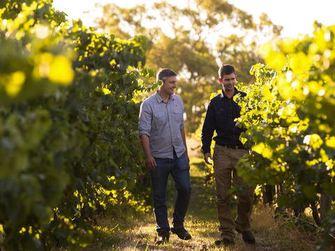 Patrick Of Coonawarra - Melbourne Tourism 1