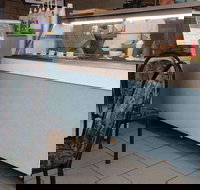 The Natural Cafe - Melbourne Tourism