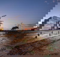 Brand's Laira of Coonawarra