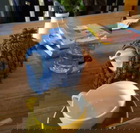 Espressohead - Melbourne Tourism