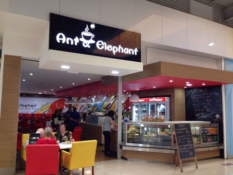 Ant & Elephant - Melbourne Tourism 0