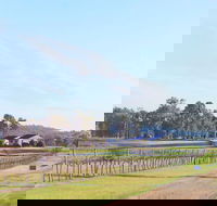 Blacklea Vineyard and Olive Grove - Melbourne Tourism