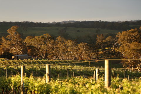 Max & Me Wine Tasting @ Eden Valley Hotel - Melbourne Tourism 1