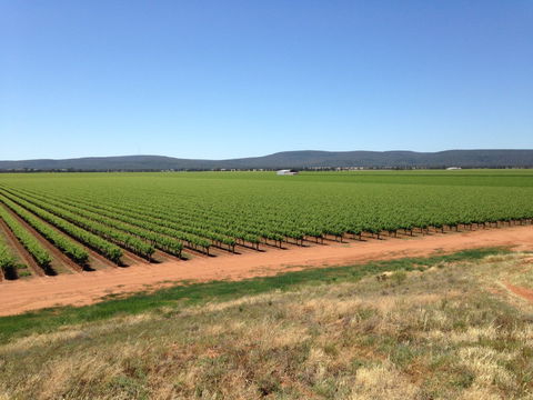 Melange Wines - Melbourne Tourism 0