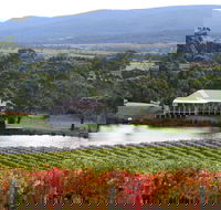 Milton Vineyard - Melbourne Tourism