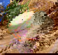 The Gardens Cafe - Melbourne Tourism