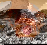 Kokoz Pizza and Double Dogs - Melbourne Tourism