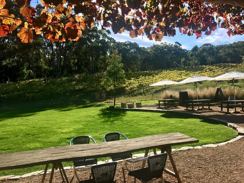Deviation Road Winery - Melbourne Tourism 0