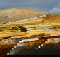 Optimiste Wines - Melbourne Tourism