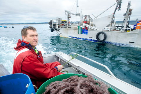 Peninsula Fresh Seafood - Melbourne Tourism 0