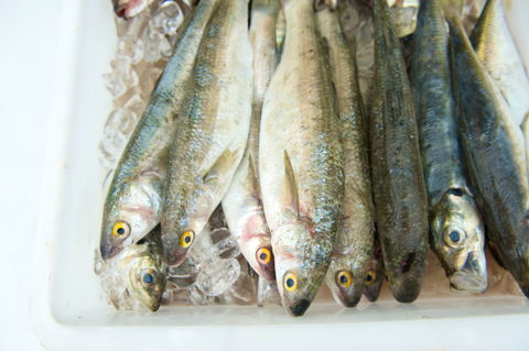 Peninsula Fresh Seafood - Melbourne Tourism 2