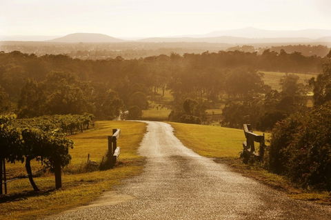 Petersons Wines - Melbourne Tourism 0