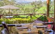 D'arenberg D'Arry's Verandah Restuarant - thumb 1