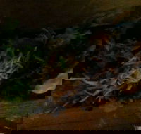 O Sushi - Melbourne Tourism