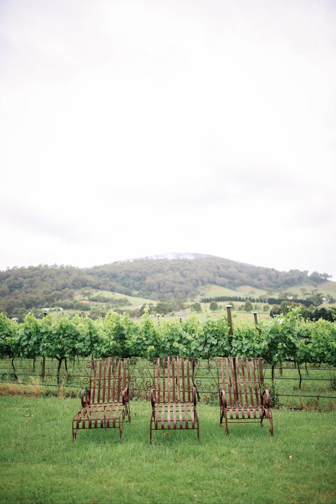 Two Figs Winery - Melbourne Tourism 2