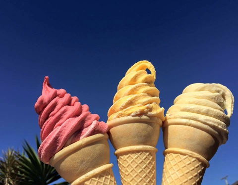 Yummi Fruit Ice-Creamery - Melbourne Tourism 0