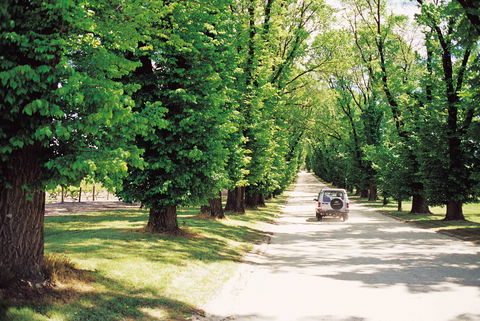 All Saints Estate - Melbourne Tourism 1