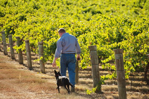 Eden Hall Wines - Melbourne Tourism 1