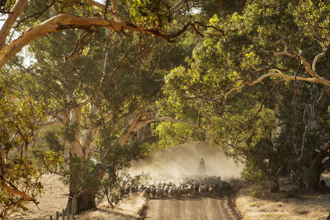 Eden Hall Wines - Melbourne Tourism 2