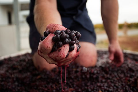Tomfoolery Wines - Melbourne Tourism 0