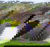 Hart of the Barossa - Melbourne Tourism