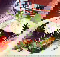 Succulent Cafe - Melbourne Tourism