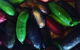 Harvest - thumb 3
