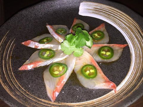 Ogenki - Melbourne Tourism 0