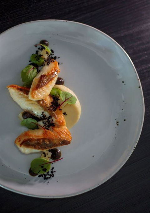 Allium Restaurant & Bar - Melbourne Tourism 7