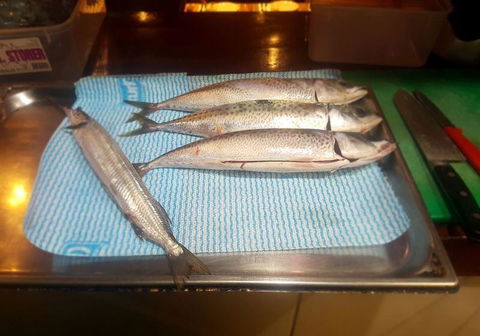 Anaya Restaurant And Tapas Bar - Melbourne Tourism 23