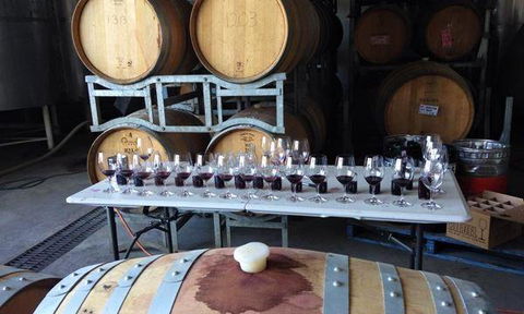 Currency Creek Winery Restaurant - Melbourne Tourism 12