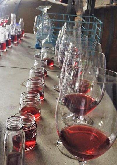 Currency Creek Winery Restaurant - Melbourne Tourism 13