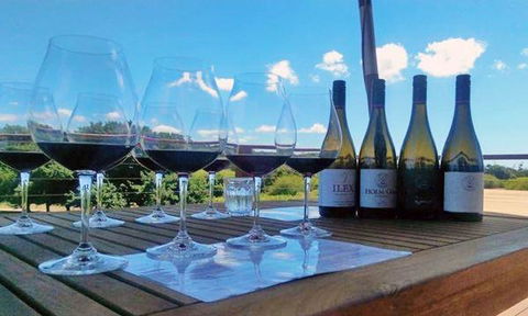 Currency Creek Winery Restaurant - Melbourne Tourism 14