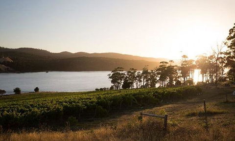 Currency Creek Winery Restaurant - Melbourne Tourism 8