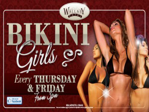 Wallaby Hotel - Melbourne Tourism 2