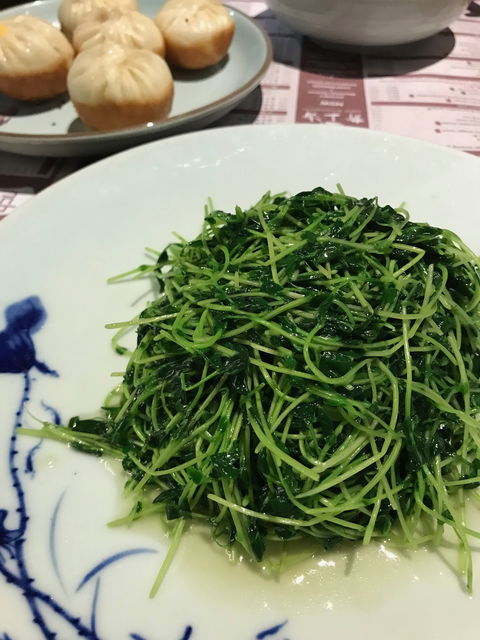 New Shanghai Chinese Restaurant - Melbourne Tourism 9