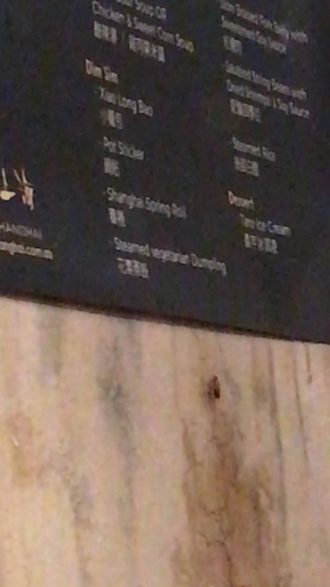 New Shanghai Chinese Restaurant - Melbourne Tourism 11