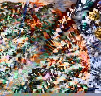 Earth n Sea Amazing Pizza  Pasta - Melbourne Tourism