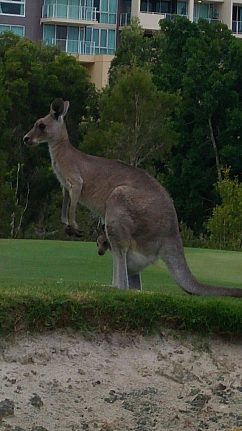 T On Course - Melbourne Tourism 6