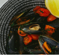 The Italian Diner - Melbourne Tourism