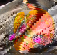 The Petit Snail - Melbourne Tourism