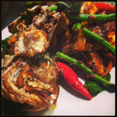 Byron Bay NSW Melbourne Tourism